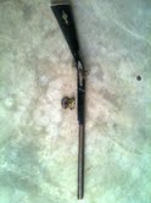 Arma apreendida