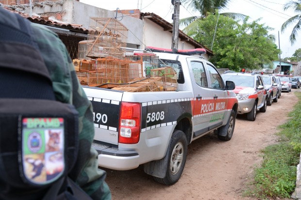A operação foi realizada no bairro de Mangabeira, na capital. (Foto: Wagner Varela)