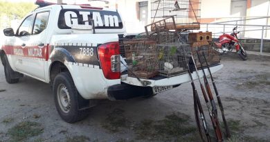 Polícia Militar apreende 13 aves silvestres e quatro armas usadas em caça na Paraíba Polícia Militar apreende 13 aves silvestres e quatro armas usadas em caça na Paraíba
