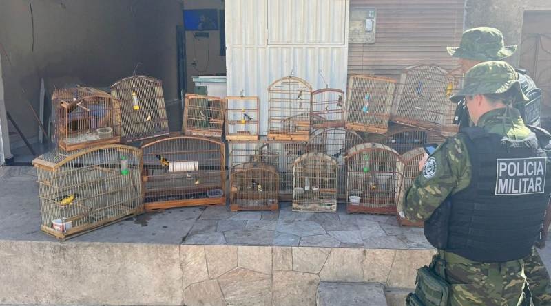 Ação conjunta resgata animais e aplica mais de R$ 10 mil em multa